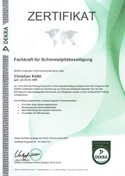 Schimmelbeseitigung